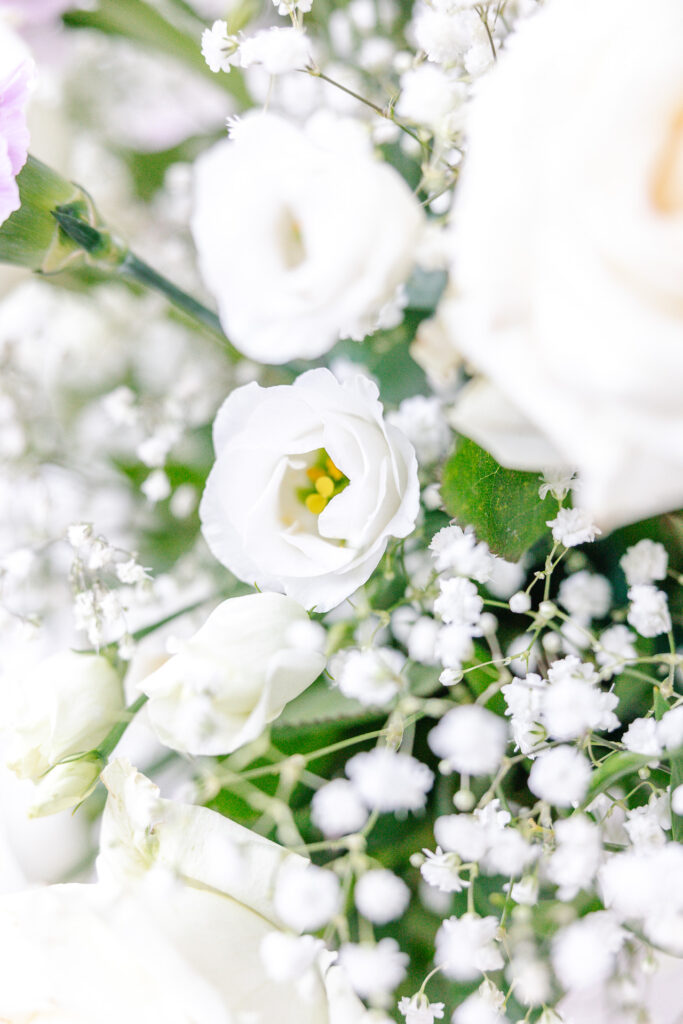 Fleurs blanches